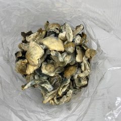 Melmacs Shrooms